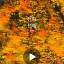 한가람한의원 이미지