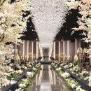 네스트웨딩홀 | 결혼준비 도장깨기/오라일리웨딩 본식 스냅 예약 /충주 네스트 웨딩홀(예약 후기)