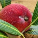 서홍농장 이미지