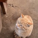 (유)농부마트