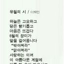 행운모아