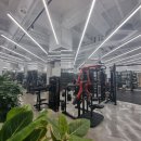 바디다짐 이미지