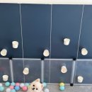 갈매독 애견유치원 이미지