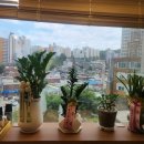 송샘산부인과의원 이미지