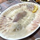 롯데횟집 | 속초 횟집 롯데리조트 카시아호텔 근처 '인어횟집' 내돈내산 후기