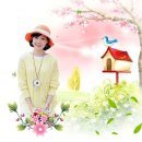 아침이슬 이미지