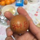 F4탁구장