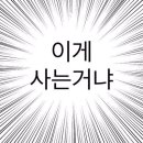11AM 이미지