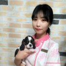 WITHPET