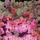 극동스포랜드 이미지