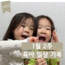 문봉제빵소 | 1월 2주 육아 일상 블로그(한복 머리띠, 정리)