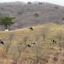 반딧불황토방 이미지