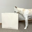 풀오브 피어 | 피어오브갓[후드집업]168cm여자 s사이즈_클래식 풀 집 후디 그레이 착용후기l더 현대 서울