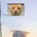밀본베이커리