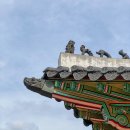 산성 비상-1호 이미지