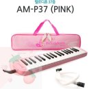 멜로디언 이미지