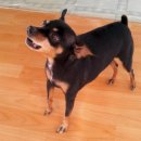 행복펜션 이미지