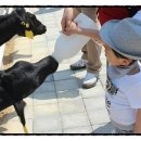 유하목장 이미지