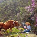 산너머남촌에는 이미지