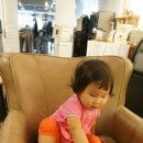 자미스튜디오 이미지