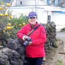 신평보건진료소 이미지