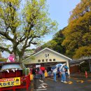 눈으로보는세상 | 벳푸여행 가마도지옥 방문후기 눈으로 체험하는 벳푸지옥온천 명소