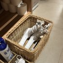 풀빌라 가온 이미지