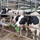 순흥목장 이미지