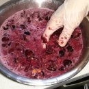 누룩과알콜 이미지