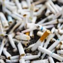 포레스트요양병원 이미지