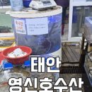 월출수산 네이버블로그