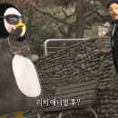 금참치 - 남양주시 늘을1로16번길 5 | 금참치