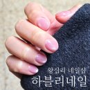 하블리 | 가성비 좋은 왕십리 네일샵 하블리네일 자석네일 후기