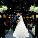 보타닉파크웨딩 이미지