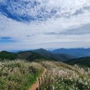 64호매표소 | 창녕 화왕산 억새 군락지, 절정시기.주차방법, 등산 코스 안내