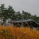 청계산의아침 Daum카페