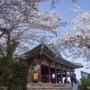 아름다운 여행 이미지