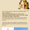 비즈주 이미지