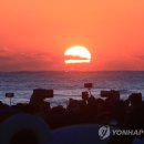 태양연합치과 연합뉴스