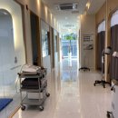 튼튼나무의원 이미지