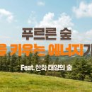 친환경태양목장 이미지