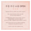 야외 웨딩스냅 드레스 추천 (체리루즈웨딩,무몽,사운즈,베일즈,루다꾸뛰르,포마이시스)