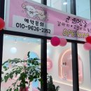 코코멍냥 이미지