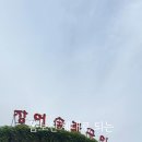 세븐일레븐 화성세자로점 | 보통리저수지 맛집 장어집, 가족 외식으로 제대로 다녀온 화성 장어 맛집 후기