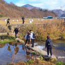 신일여행사 이미지