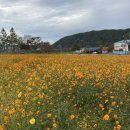 주왕산관광단지내 이미지