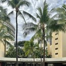 인피니티풀 | 하와이 와이키키 쉐라톤 호텔 오션프론트 시그니처 인피니티풀 후기