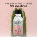 뷰리아느