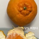 몽귤몽귤농원 네이버블로그