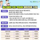 보성군보건소 | 보성무료예방접종/백일해 무료예방접종/보성군민 혜택후기/군민을 위한 보성보건소